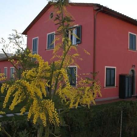 Agriturismo Casa Rosa Lucca Exterior foto